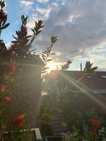 Taverna Coctel بوريتش