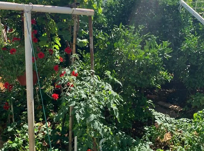 Апартаменти Taverna Coctel *