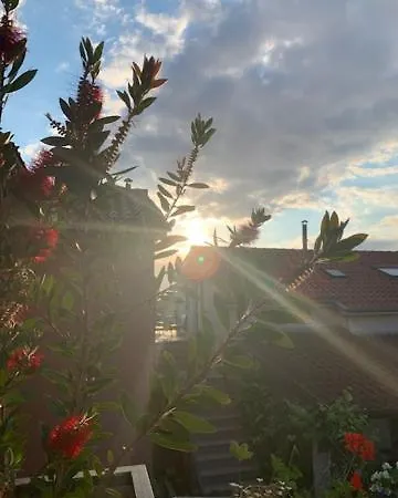 Taverna Coctel Porec