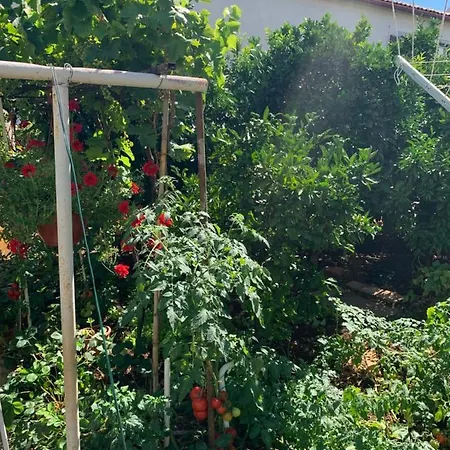 Appartement Taverna Coctel *