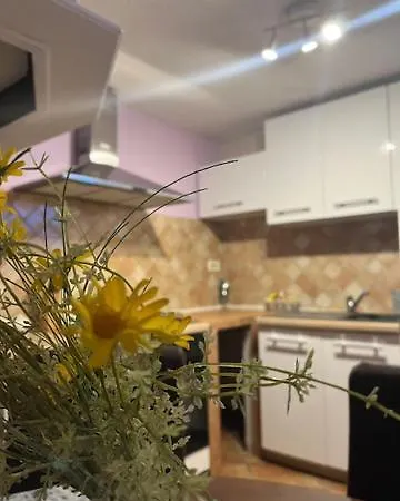 Taverna Coctel Porec